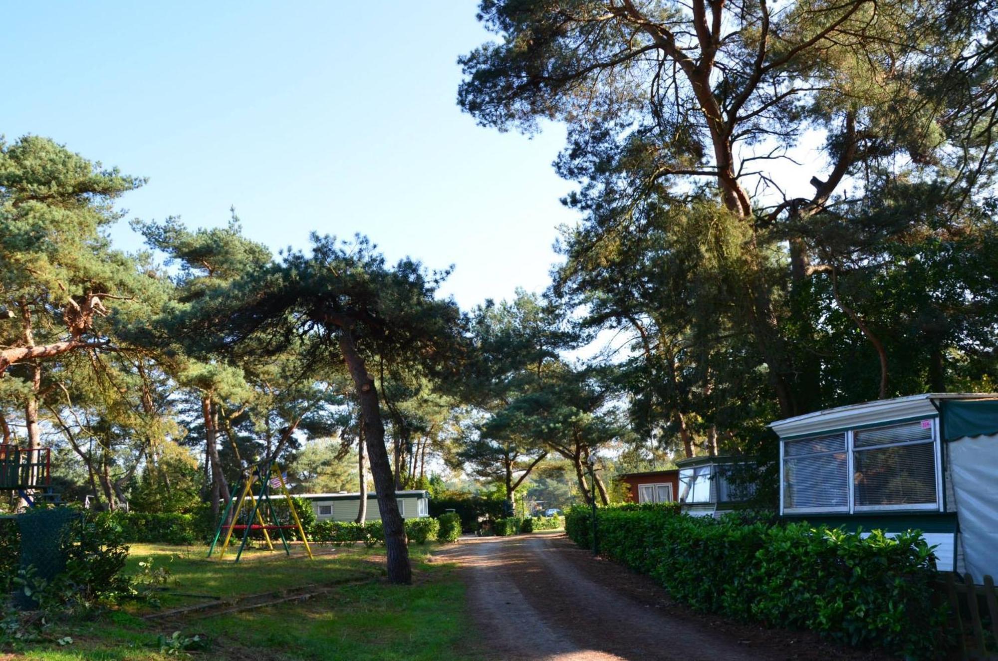 Safaritent At Camping Gt Keiheuvel Balen Zewnętrze zdjęcie
