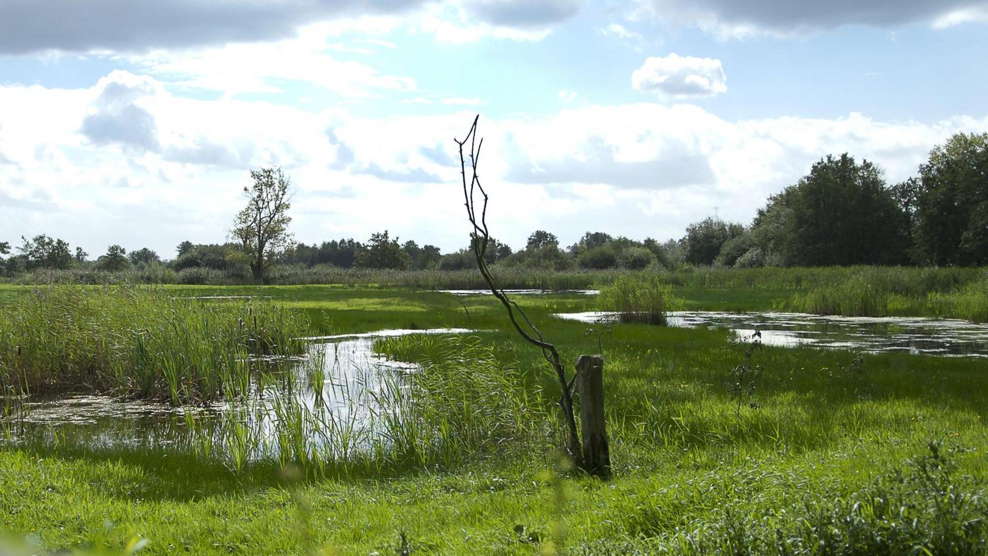 Safaritent At Camping Gt Keiheuvel Balen Zewnętrze zdjęcie